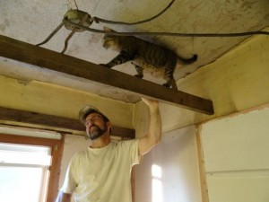 Renovating the Old Farm House: Ripping Apart the Bathroom