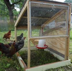 Simple Chicken Shelter