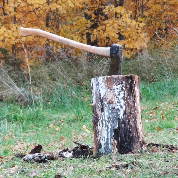 Stockpiling Wood