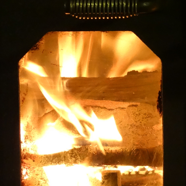 fire-in-buckstove-2013