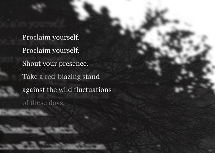 proclaim-yourself